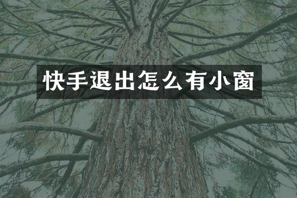 快手退出怎么有小窗