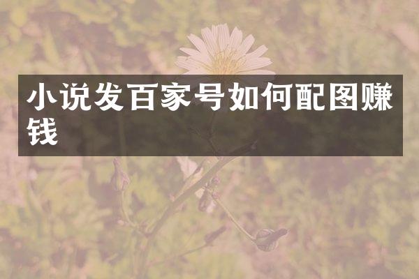 小说发百家号如何配图赚钱