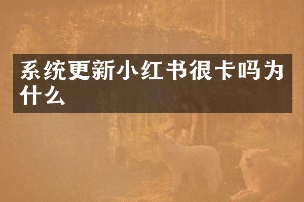 系统更新小红书很卡吗为什么