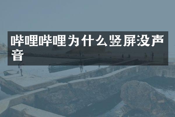 哔哩哔哩为什么竖屏没声音