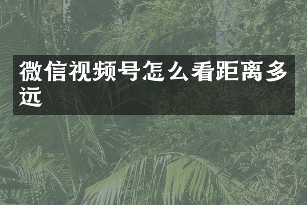 微信视频号怎么看距离多远