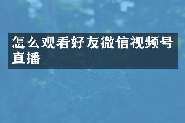 怎么观看好友微信视频号直播