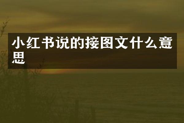 小红书说的接图文什么意思