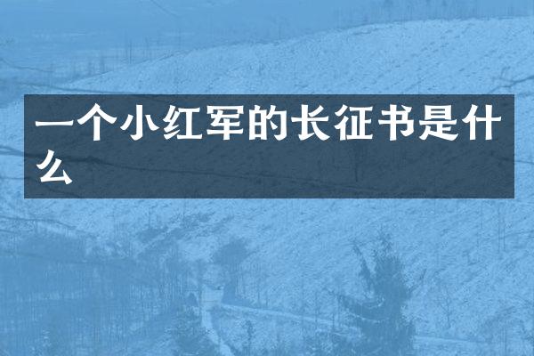 一个小红军的长征书是什么