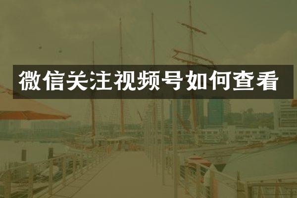 微信关注视频号如何查看