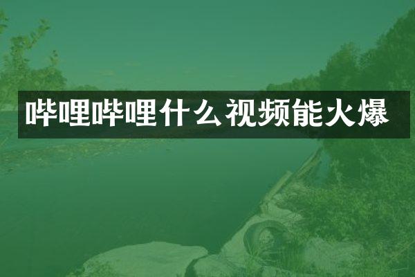 哔哩哔哩什么视频能火爆