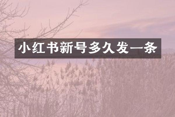 小红书新号多久发一条