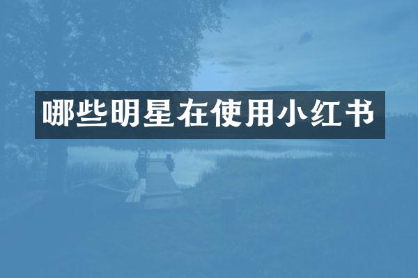 哪些明星在使用小红书
