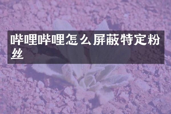 哔哩哔哩怎么屏蔽特定粉丝