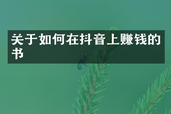关于如何在抖音上赚钱的书