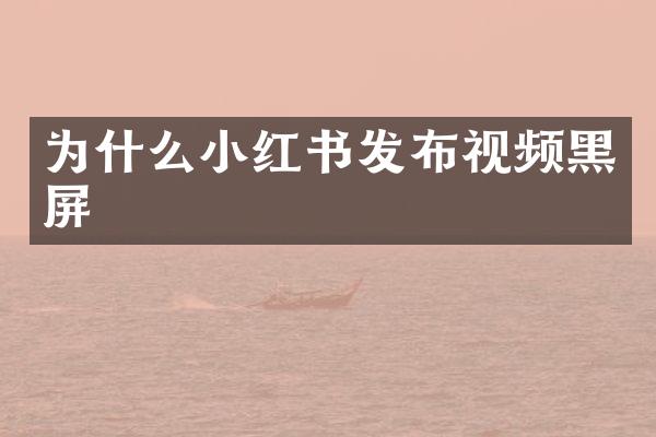 为什么小红书发布视频黑屏