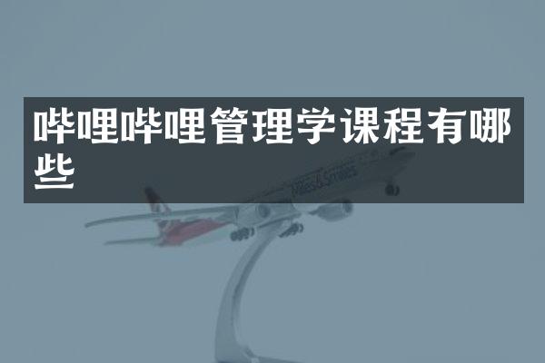 哔哩哔哩管理学课程有哪些