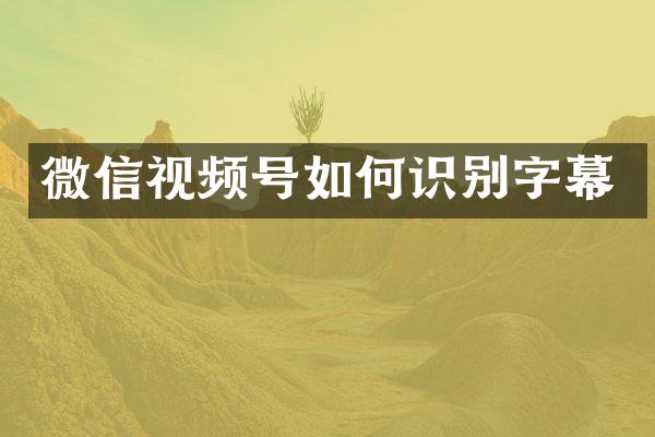 微信视频号如何识别字幕