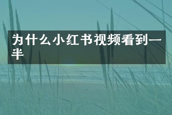 为什么小红书视频看到一半