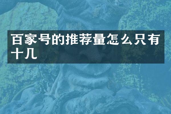百家号的推荐量怎么只有十几