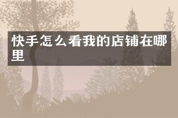快手怎么看我的店铺在哪里