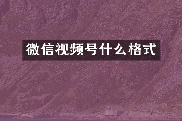 微信视频号什么格式