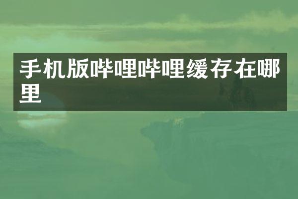 手机版哔哩哔哩缓存在哪里
