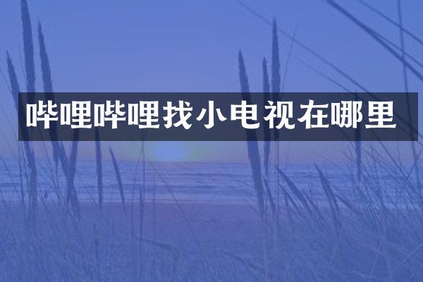 哔哩哔哩电视在哪里