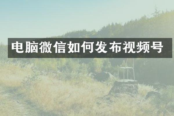 电脑微信如何发布视频号