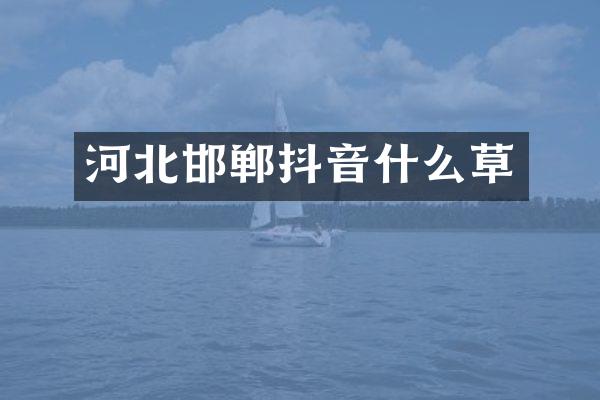 河北邯郸抖音什么草