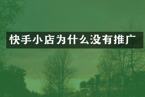 快手小店为什么没有推广