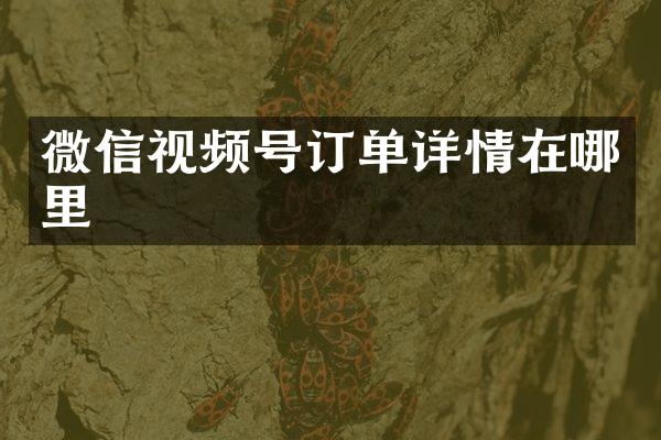 微信视频号订单详情在哪里