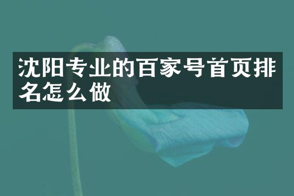 沈阳专业的百家号首页排名怎么做