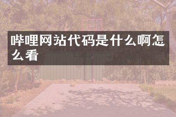 哔哩网站代码是什么啊怎么看