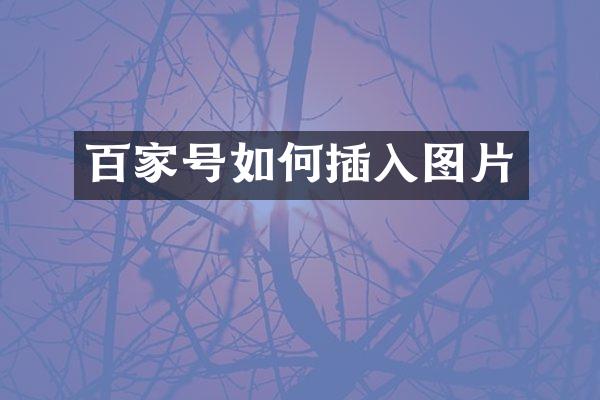 百家号如何插入图片