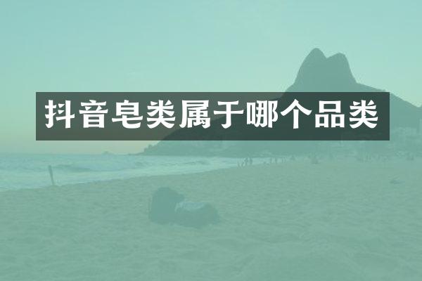 抖音皂类属于哪个品类