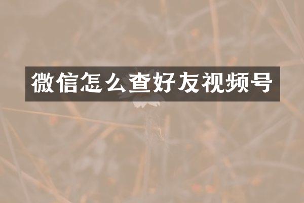 微信怎么查好友视频号
