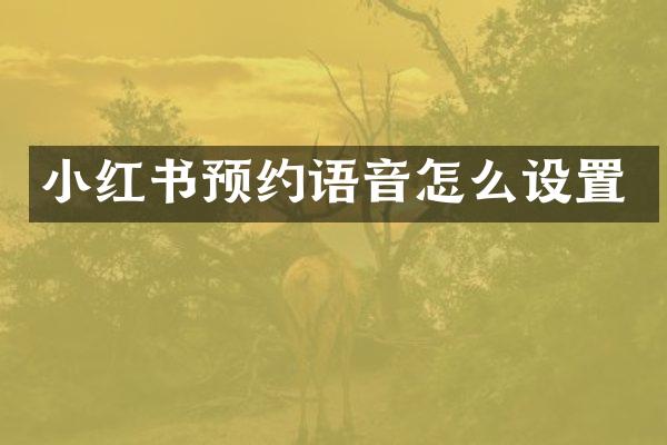小红书预约语音怎么设置