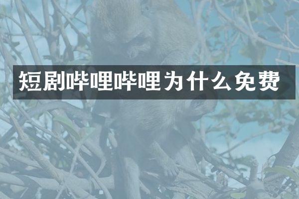 短剧哔哩哔哩为什么免费