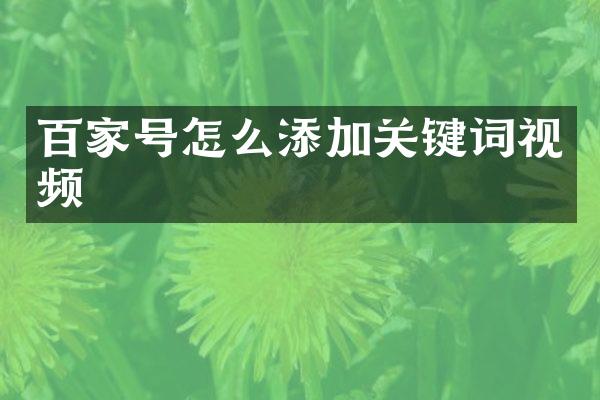 百家号怎么添加关键词视频