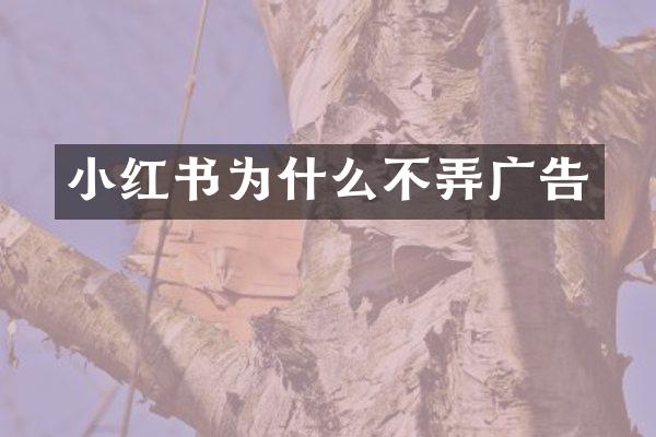 小红书为什么不弄广告