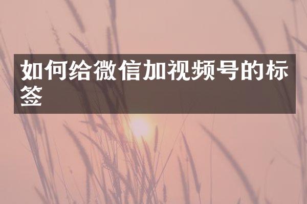 如何给微信加视频号的标签