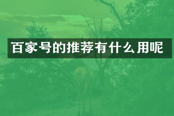 百家号的推荐有什么用呢
