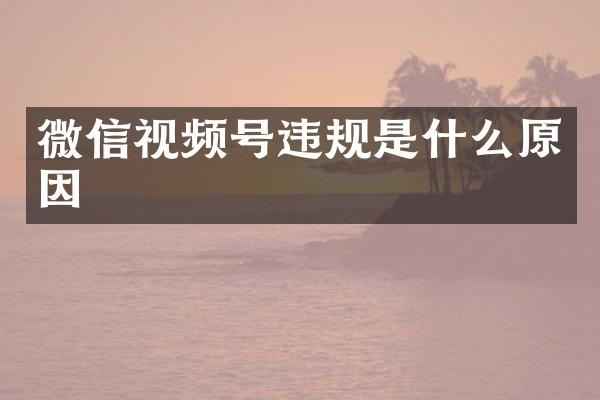 微信视频号违规是什么原因