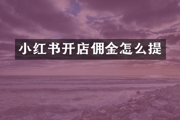 小红书开店佣金怎么提