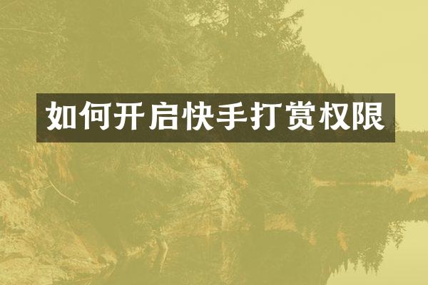 如何开启快手打赏权限