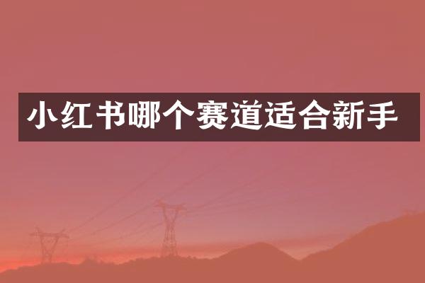 小红书哪个赛道适合新手