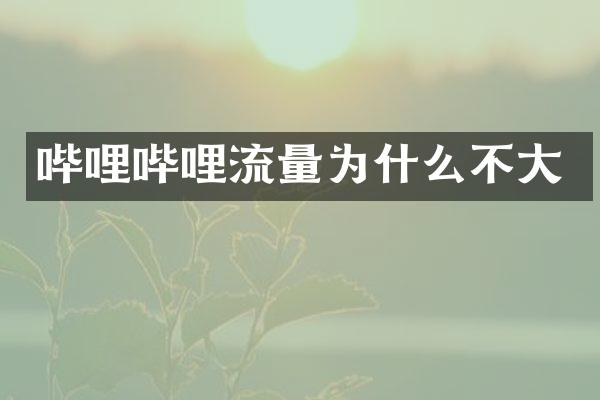 哔哩哔哩流量为什么不大