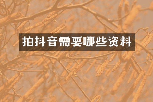 拍抖音需要哪些资料