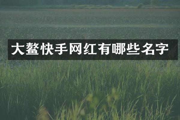 大鳌快手网红有哪些名字