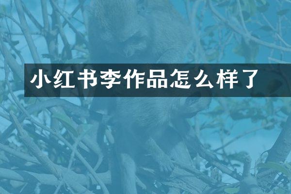 小红书李喆作品怎么样了