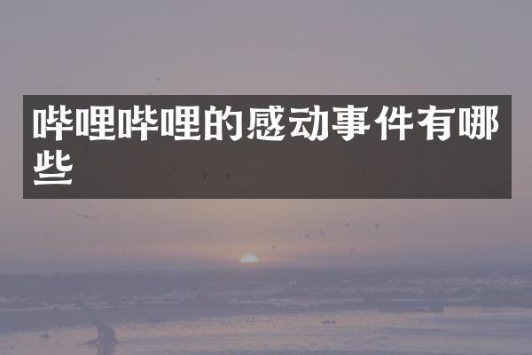 哔哩哔哩的感动事件有哪些