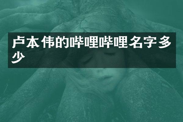 卢本伟的哔哩哔哩名字多少