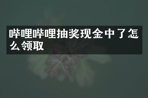 哔哩哔哩抽奖现金中了怎么领取