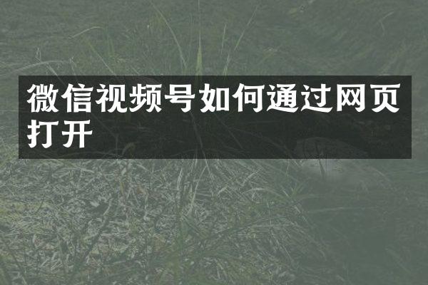 微信视频号如何通过网页打开